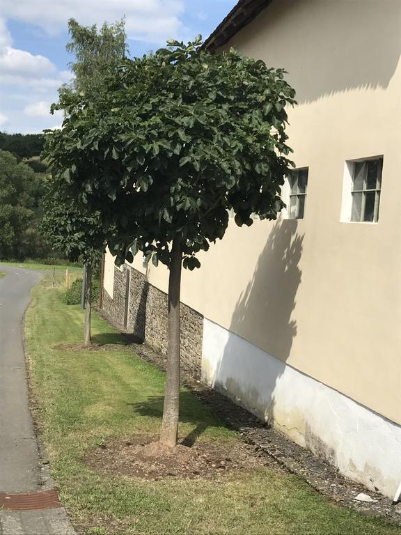 Ferienwohnung Schloessershof Borler Buitenkant foto